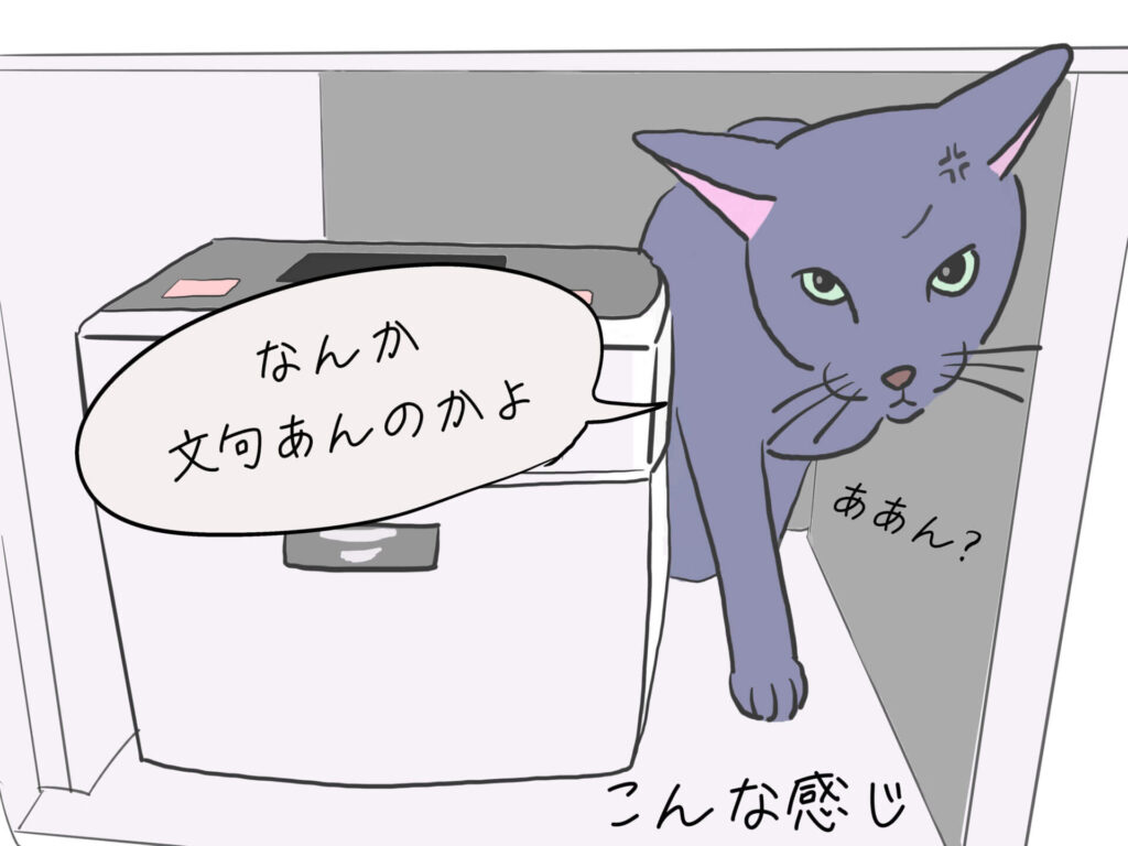 猫と炊飯器
