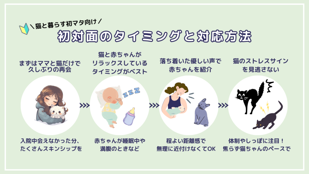猫と赤ちゃん、初対面のタイミングと対応方法